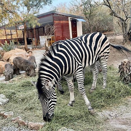 Kholiwe On Kruger Lodge & Safaris Marloth Park Bagian luar foto