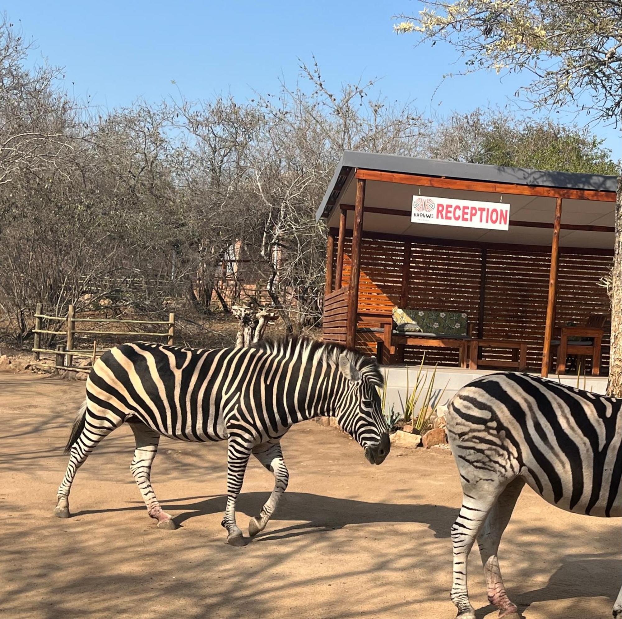 Kholiwe On Kruger Lodge & Safaris Marloth Park Bagian luar foto