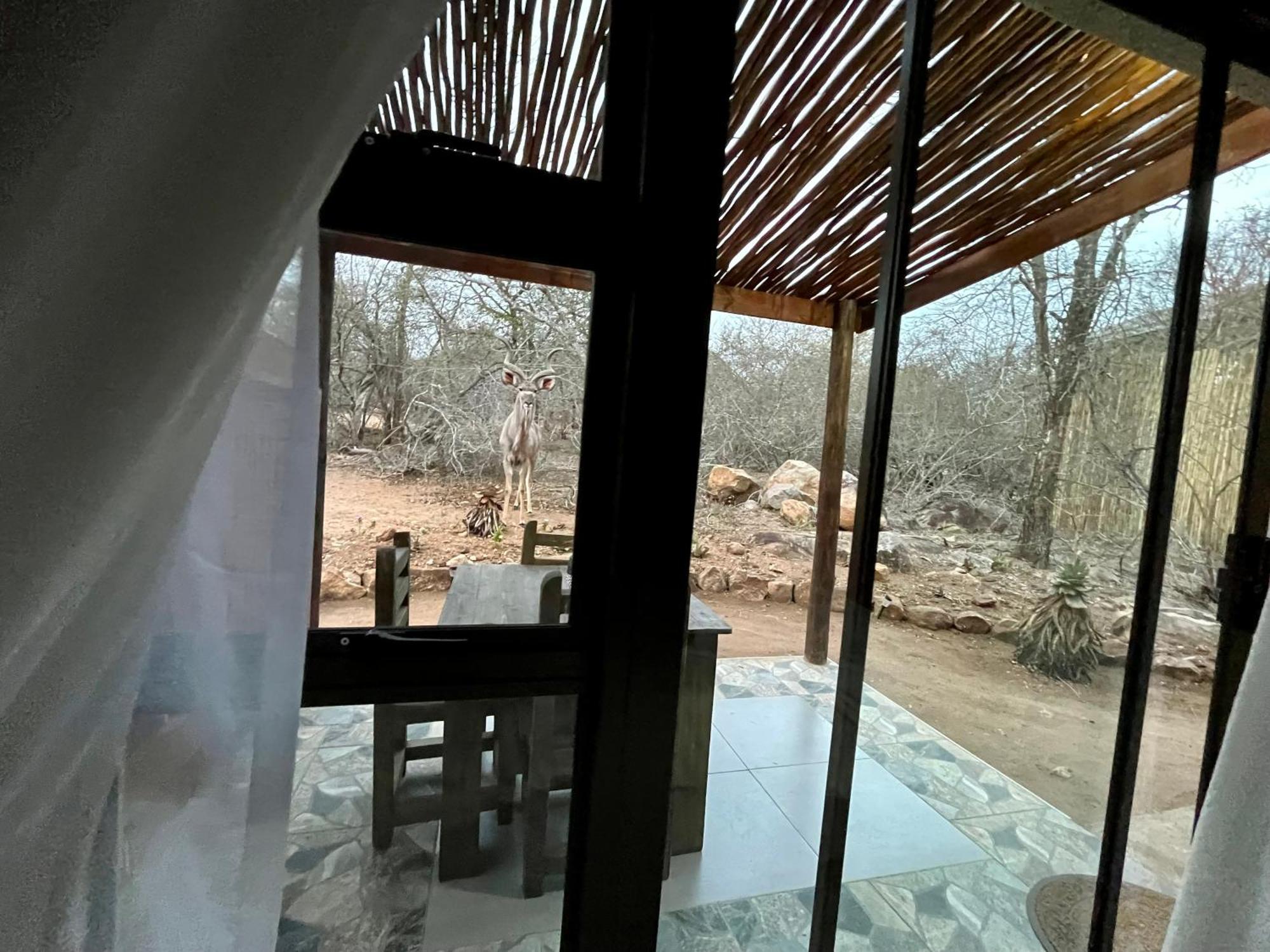Kholiwe On Kruger Lodge & Safaris Marloth Park Bagian luar foto