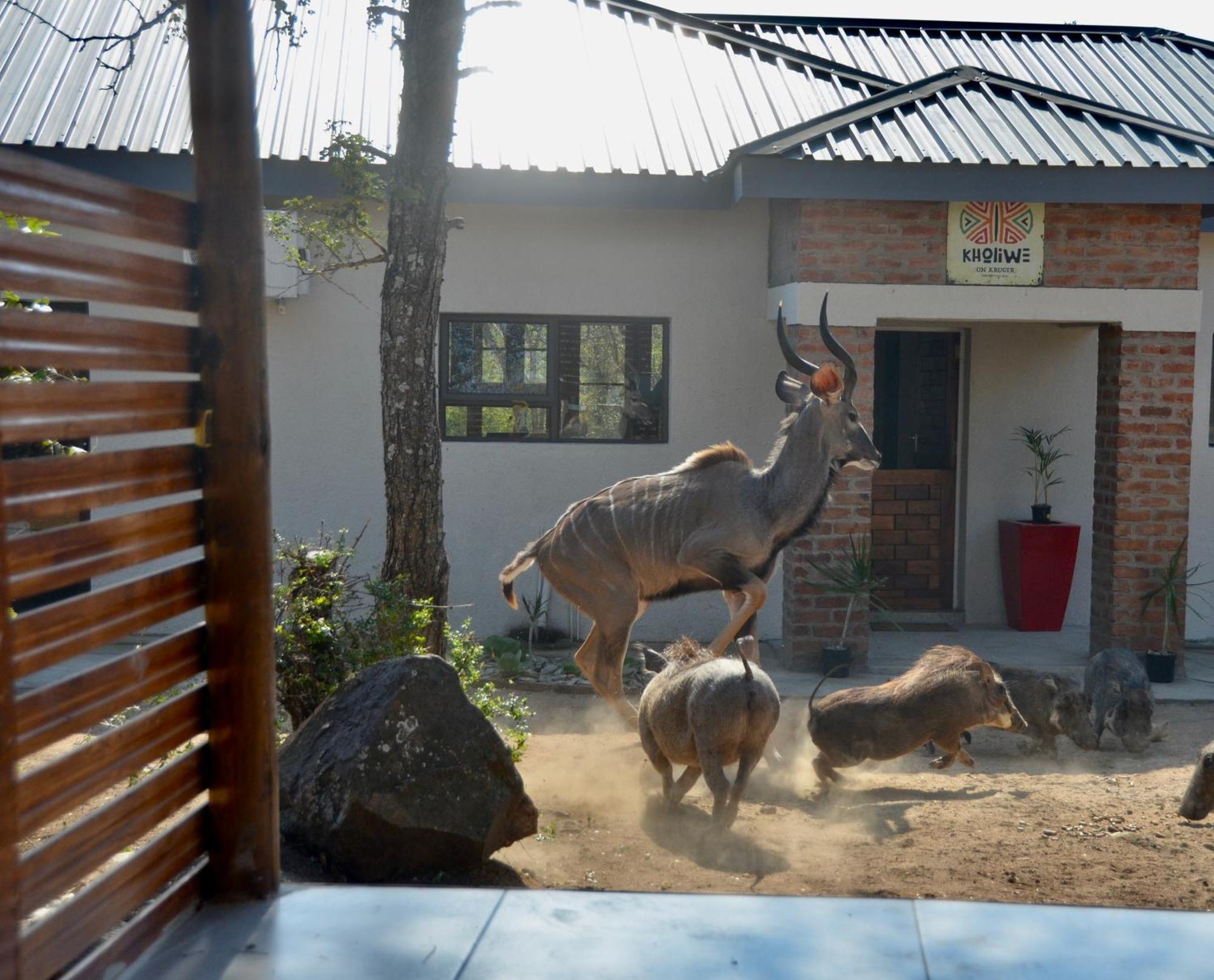 Kholiwe On Kruger Lodge & Safaris Marloth Park Bagian luar foto