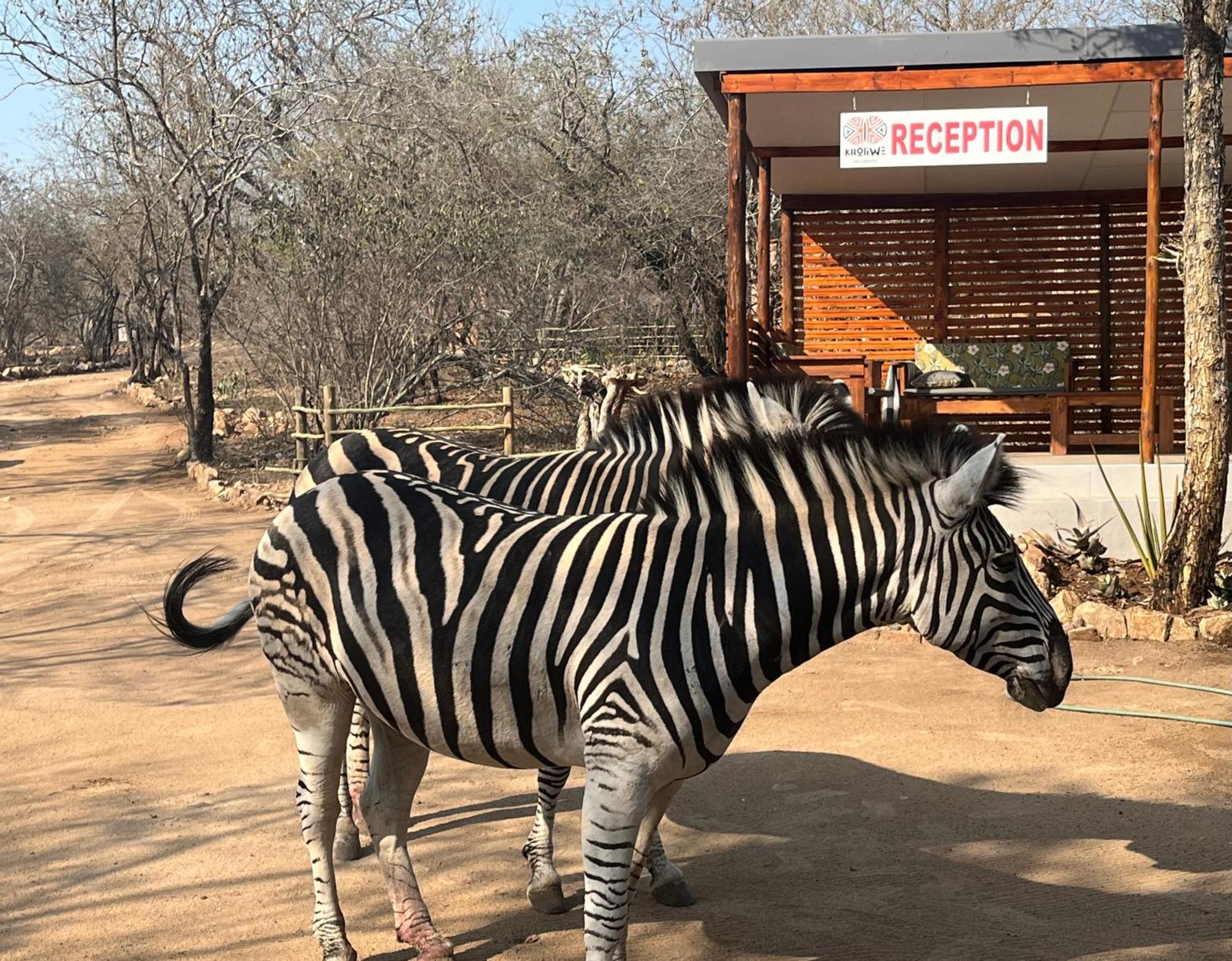 Kholiwe On Kruger Lodge & Safaris Marloth Park Bagian luar foto