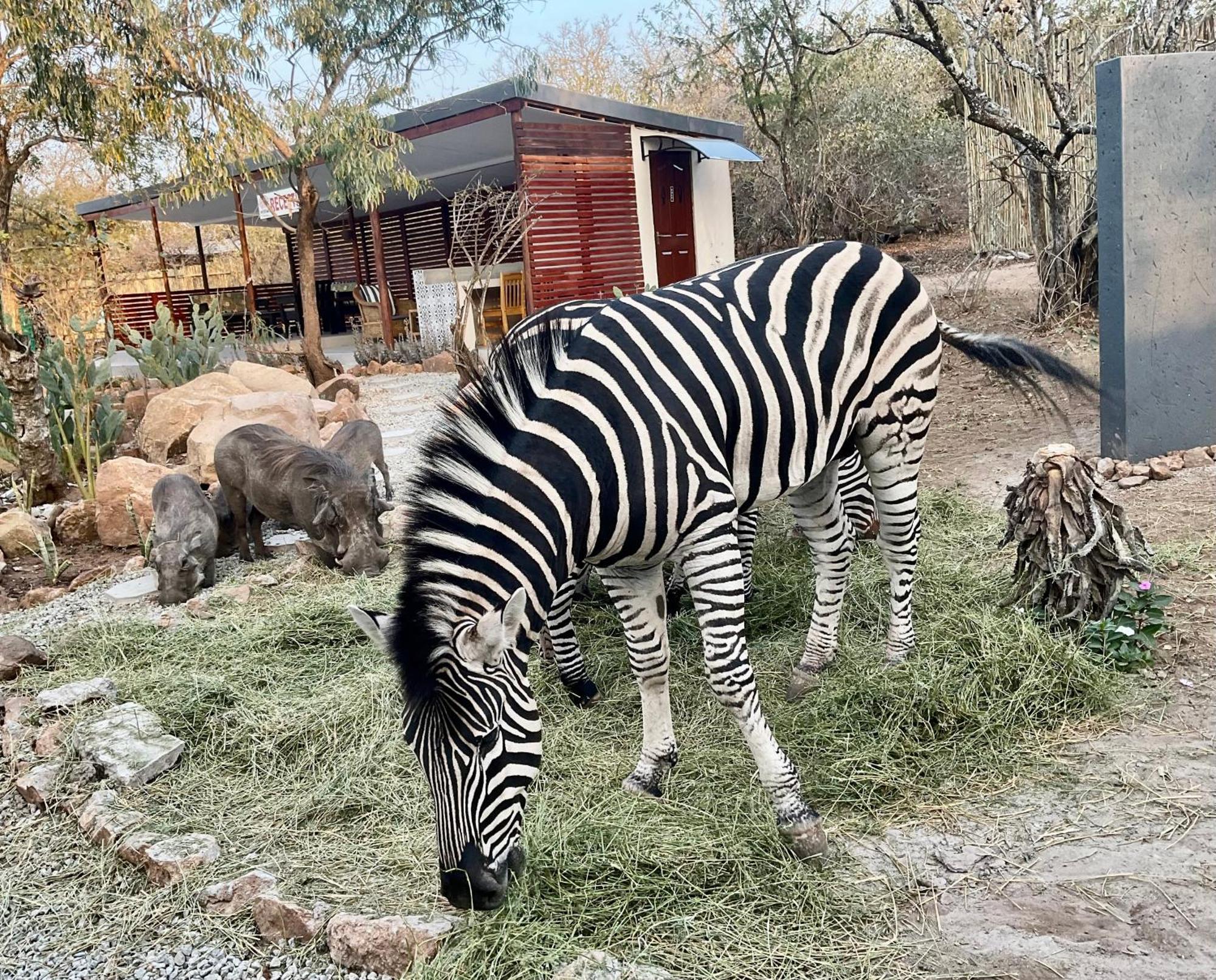 Kholiwe On Kruger Lodge & Safaris Marloth Park Bagian luar foto
