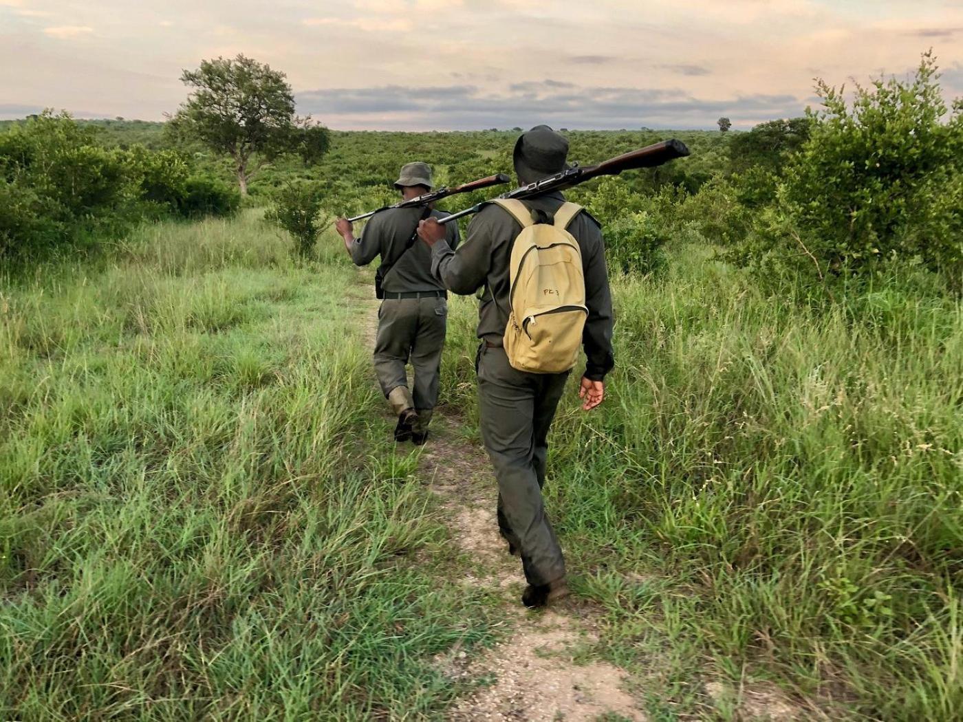 Kholiwe On Kruger Lodge & Safaris Marloth Park Bagian luar foto